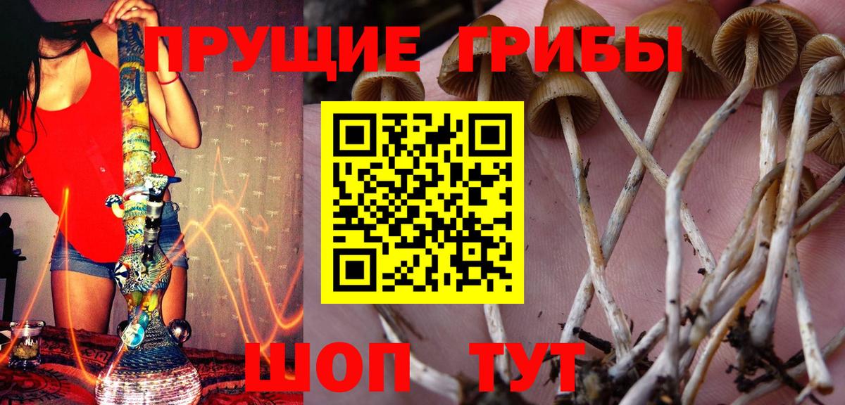 Коркино  Псилоцибиновые грибы Psilocybe  Вход с VPN  Псилоцибиновые грибы Magic Shrooms 